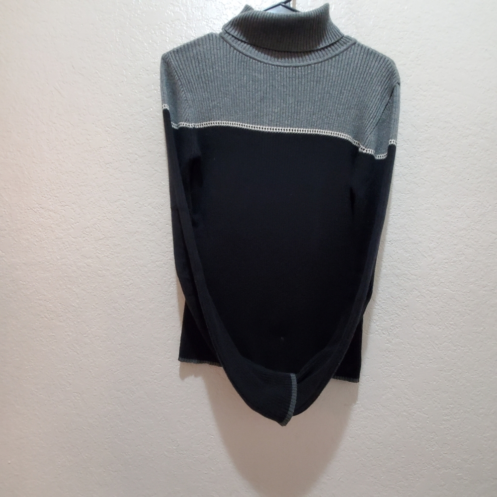 Gap Turtleneck Sweater